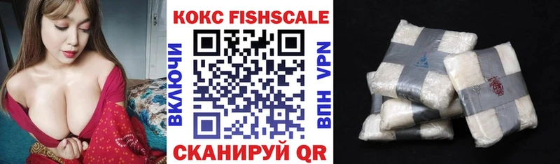 Купить закладку Alpha-PVP  Псилоцибиновые грибы  Гашиш  Меф  Ветлуга