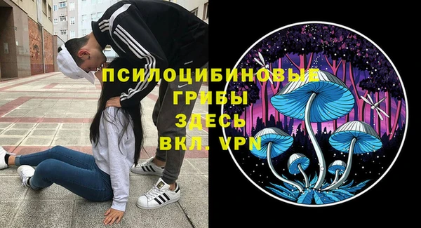 PSILOCYBIN Касимов