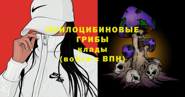 PSILOCYBIN Касимов