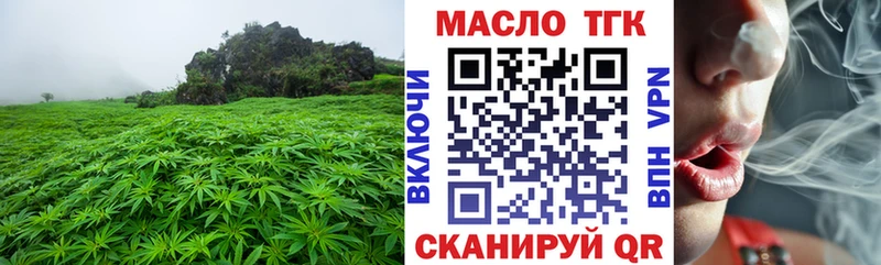 Купить где  Ветлуга  ТГК THC oil 